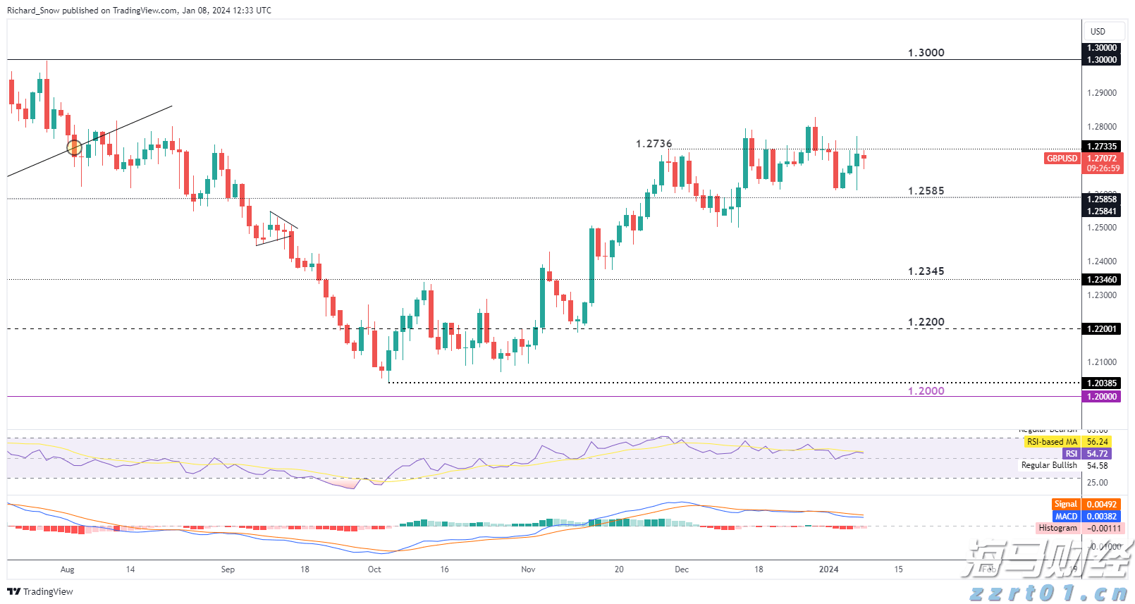 砂仁采摘季，食补正当时