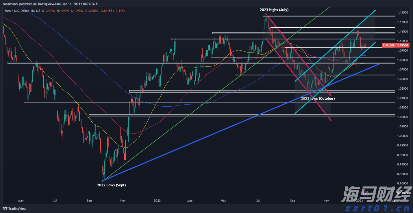 解锁新市场！梅州观赏鱼 “游” 进马来西亚