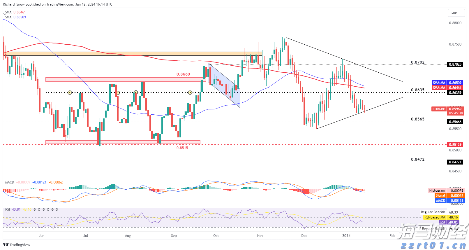 樊振东正式亮相德甲，8月31日迎首秀