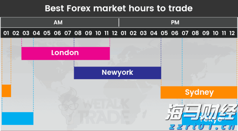 解锁新市场！梅州观赏鱼 “游” 进马来西亚