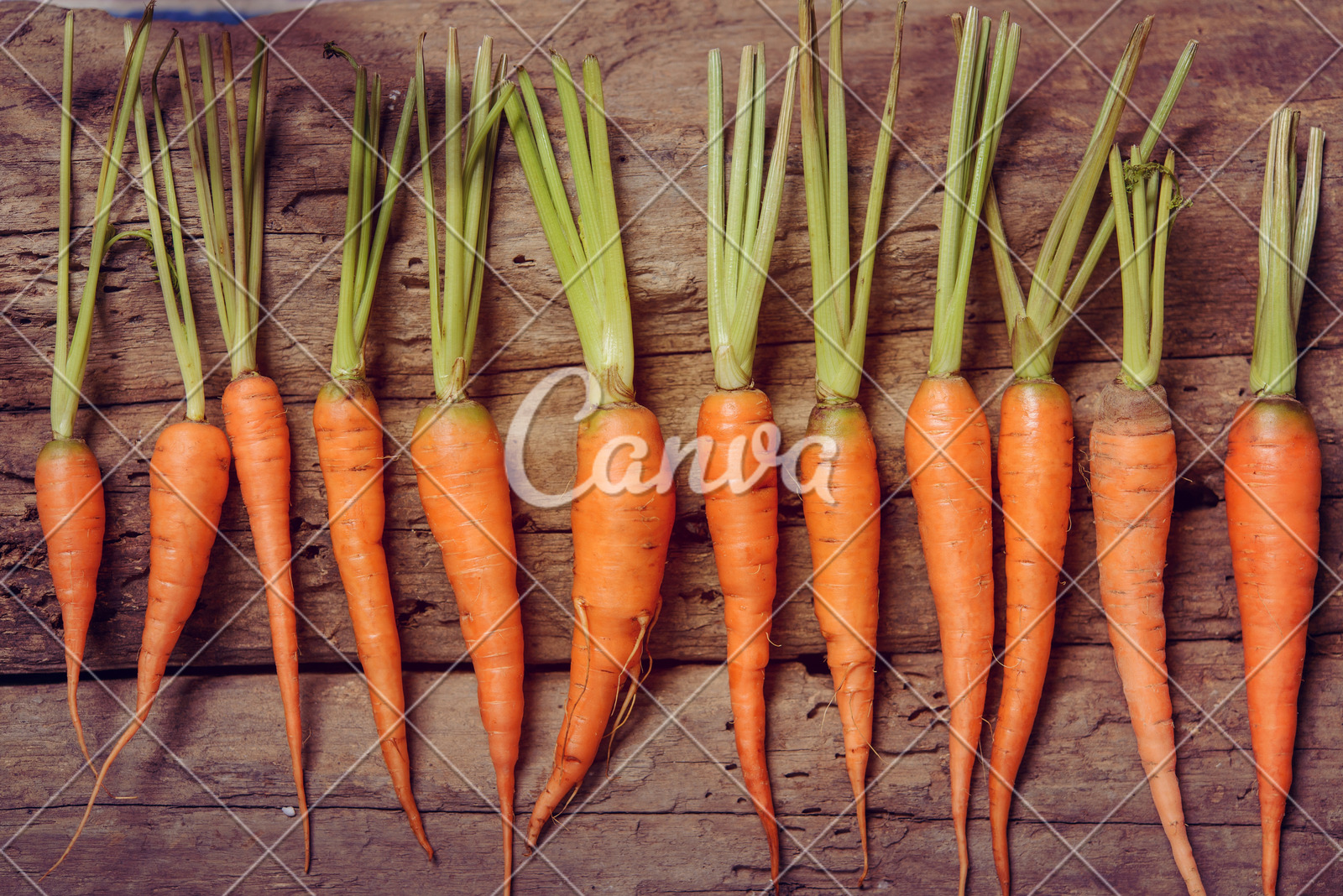 摩根士丹利：AI需求加速释放，CoWoS产能和资本开支显著增长