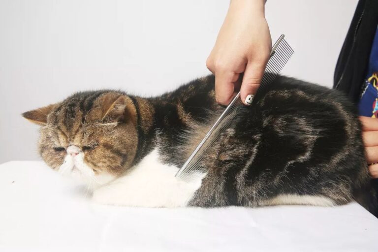 辽宁省市场监管局开展反不正当竞争专项执法行动