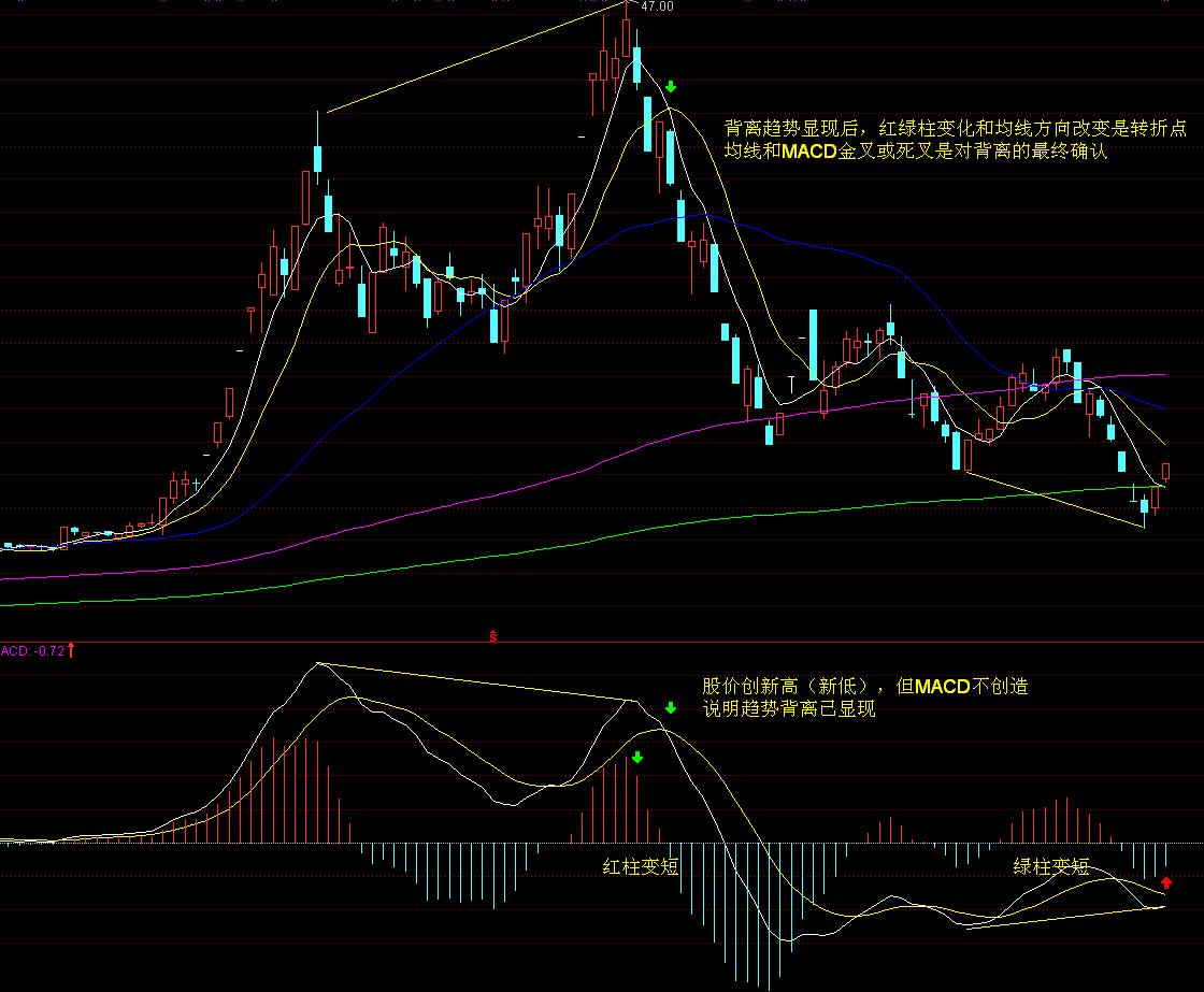 i小胖：“书香”是城市最恒久的香氛