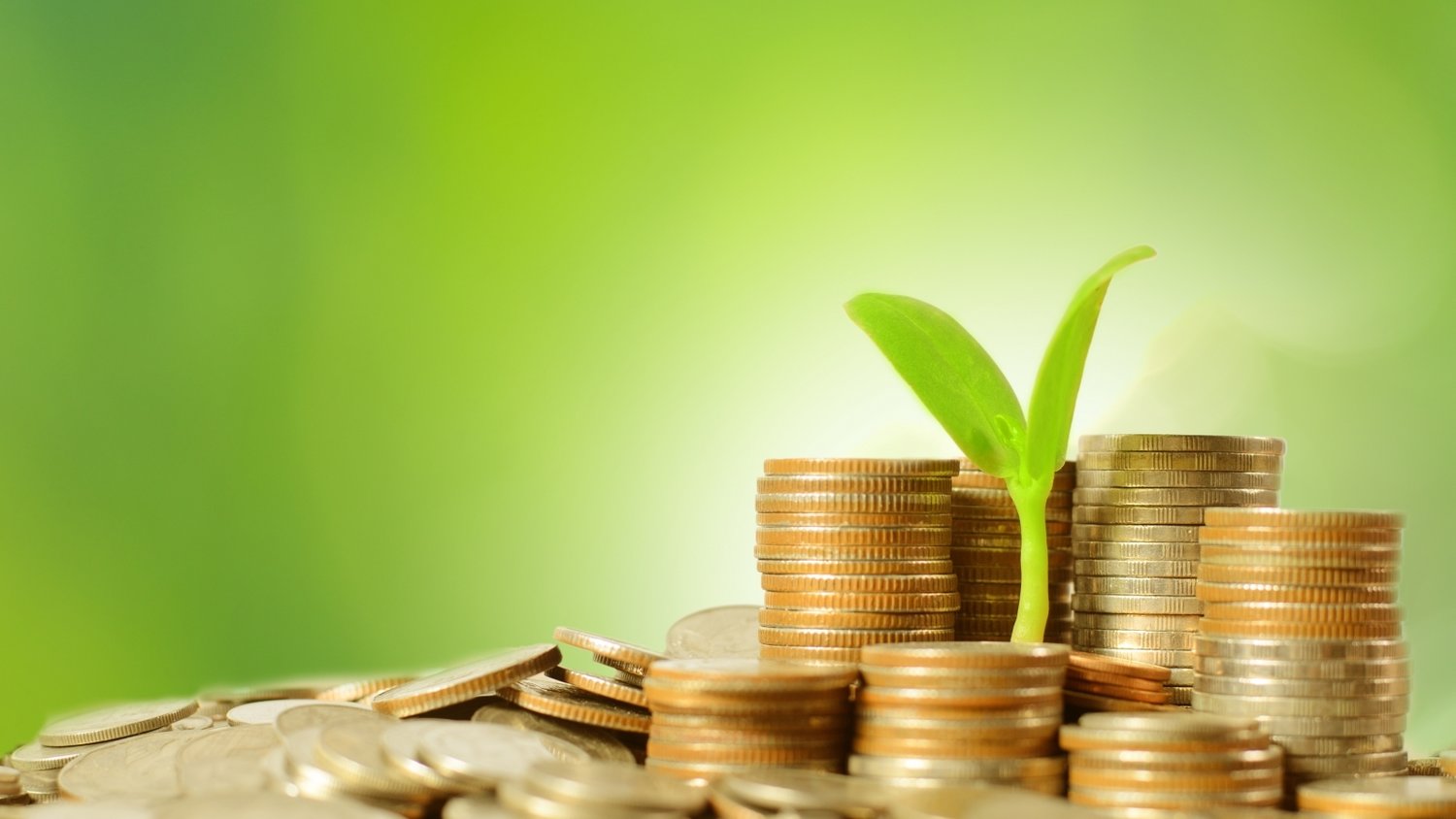 山东省采取“七个一”举措深入推进制止餐饮浪费专项行动